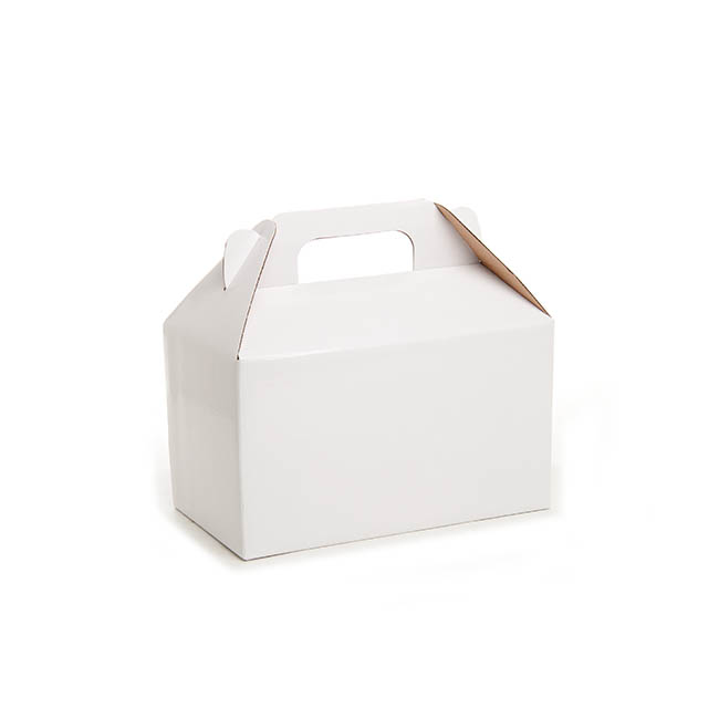 Gable Box Flat packed Large White (24x13x13cm)