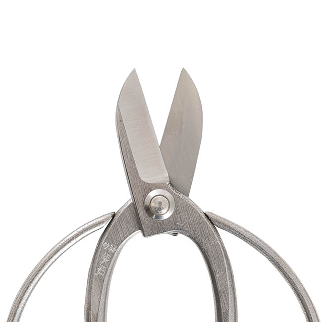 Sakagen Koyru Bonsai Scissors Short Blade Stainless (165mm)