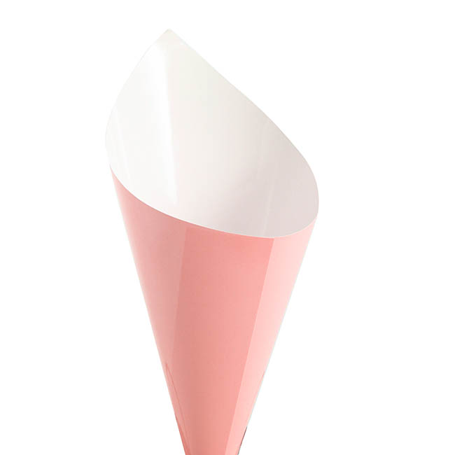 Paper Snack Cone Pack 10 Pink (24cm x 9cm)