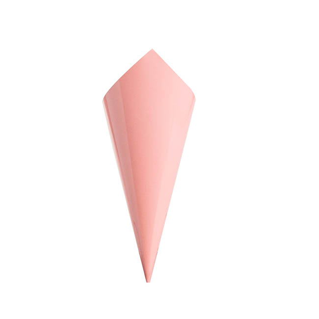 Paper Snack Cone Pink 10pk (24cm x 9cm)