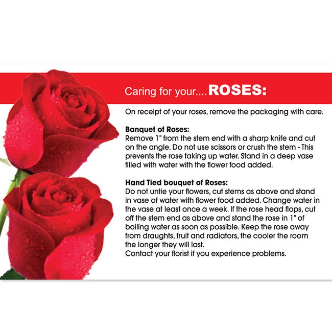 Cards Flower Care for Roses (10x6.5cmH) Pack 50