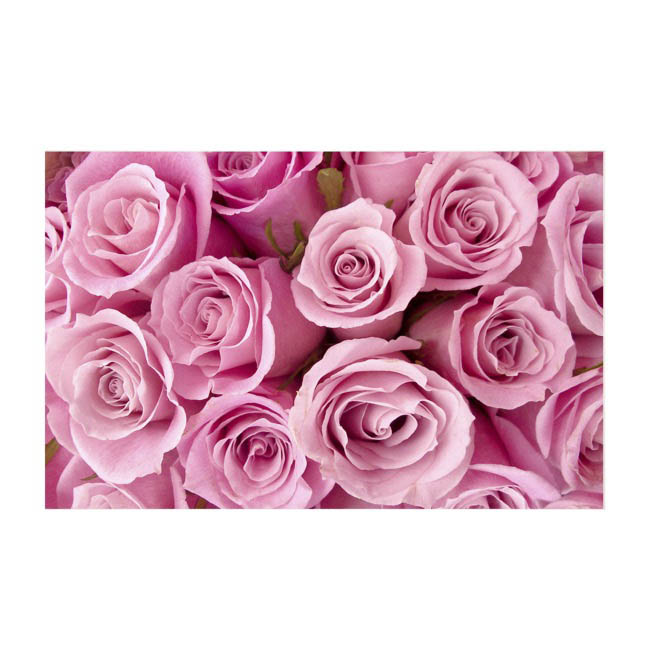 Cards Rose Bunch Pink (10x6.5cmH) Pack 50