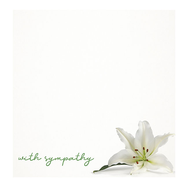 Cards White With Sympathy White Lily (10x10cmH) Pk 50