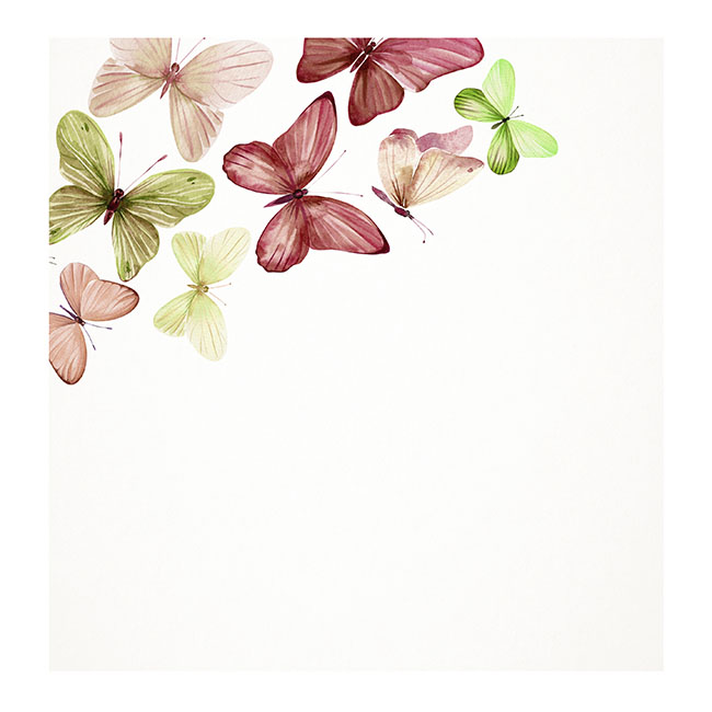 Cards White Butterflies Multi Colour  (10x10cmH) Pk 50