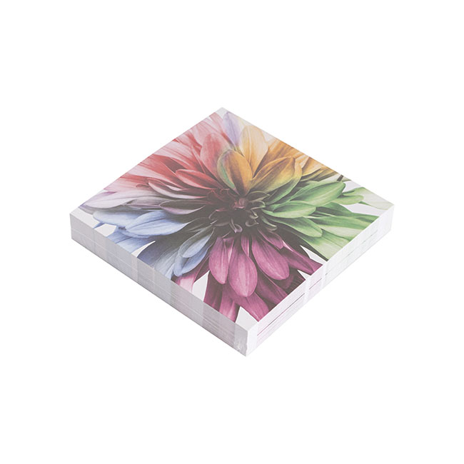 Cards White Dahlia Multi Colour (10x10cmH) Pk 50