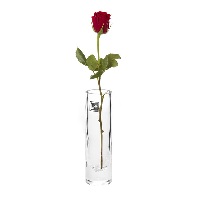 Glass Cylinder Bud Vase Clear (4Dx14cmH)