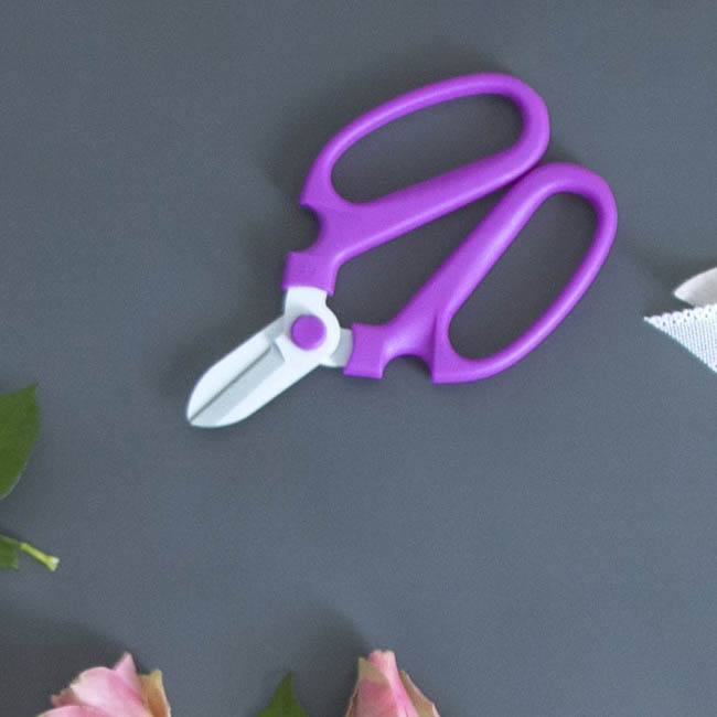 Flower Snips Gift Box Violet (17cm-6.7)