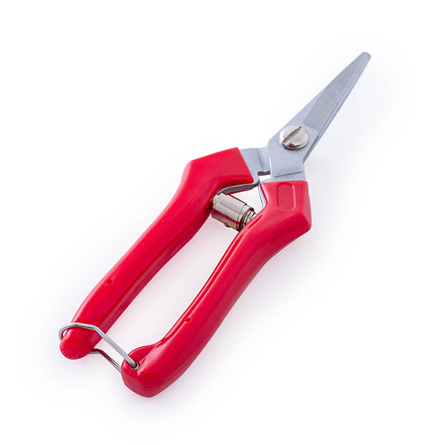 Trimmer Picker Shears Bunch Cut (8) (203mm) Red Handle
