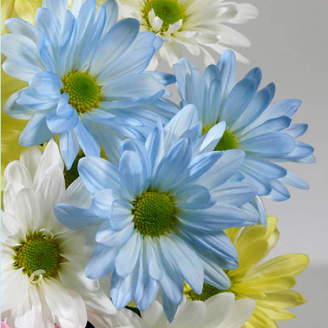 Design Master Spray Just For Flowers Hydrangea Blue (312g)