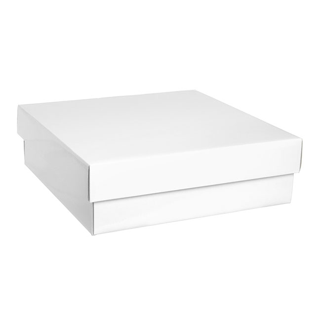 Gourmet Box Square Large White (28x28x9cmH)
