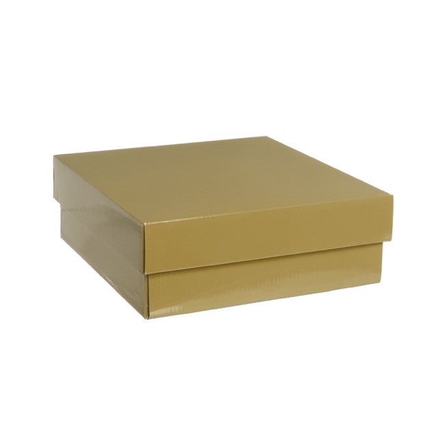 Gourmet Box Square Small Gold (24x24x9cmH)
