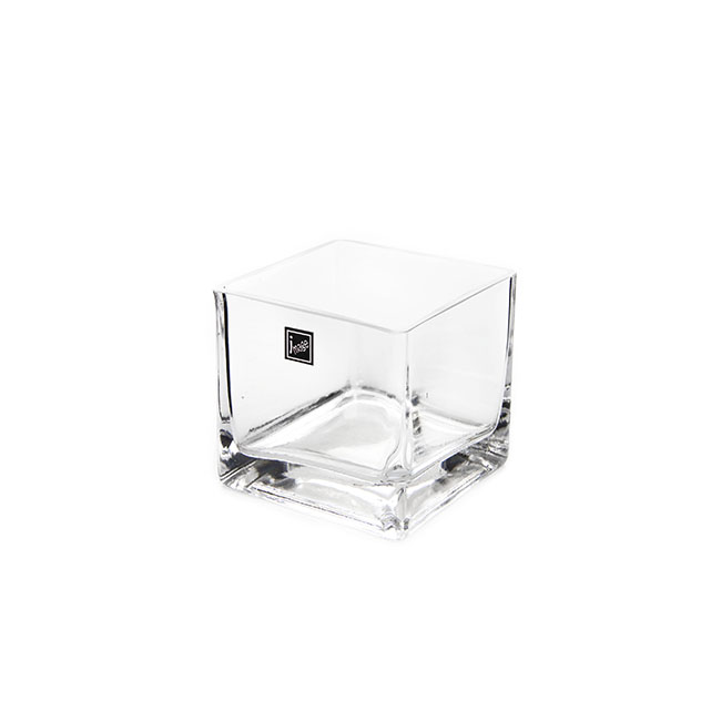 Glass Cube Vase 10cm Clear (10x10x10cmH)