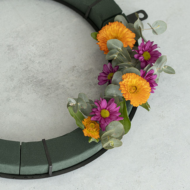 Floral Foam Wreath Rings (40cm) Oasis NAYLORBASE