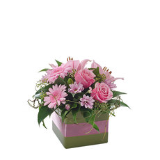 Interflora Pinky Petite Box Arrangement