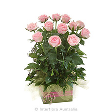 Interflora Now & Forever Box Arrangement of 12 Pink Roses