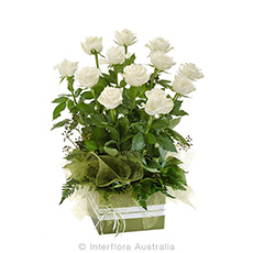 Interflora Now & Forever Box Arrangement of 12 White Roses