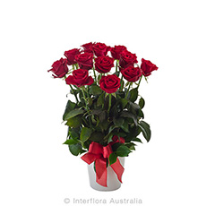 Interflora Impulse Arrangement of 12 Red Roses