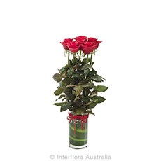 Interflora Adore Vase With 6 Red Roses