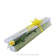 Interflora First Kiss Single Yellow Rose In Box