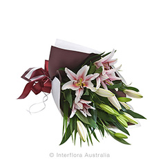 Interflora Jewel Oriental Lily Wrap