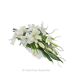 Interflora Purity Lily Wrap