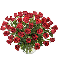 Interflora Wow Arrangement of 50 Red Roses