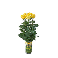 Interflora Adore Vase with 6 Long Stemmed Yellow Roses