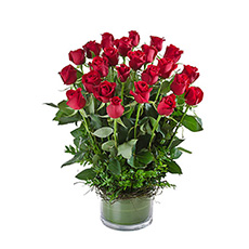 Interflora Desire Deluxe Arrangement of 24 Red Roses