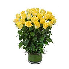 Interflora Desire Deluxe Arrangement of 24 Yellow Roses