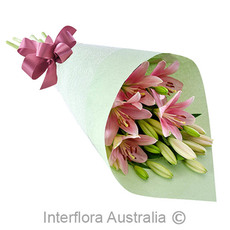 Interflora Isla Pink Lily Wrap