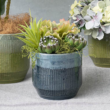  - Ceramic Nelson Succulents