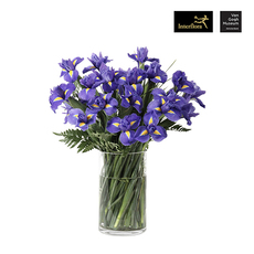 Interflora Purple Iris