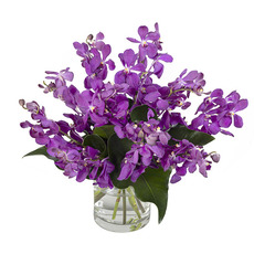 Interflora Purple Orchid Bouquet in a Vase