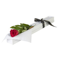 Interflora Single Red Rose in Presentation Box