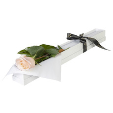 Interflora Single Pink Rose in Presentation Box