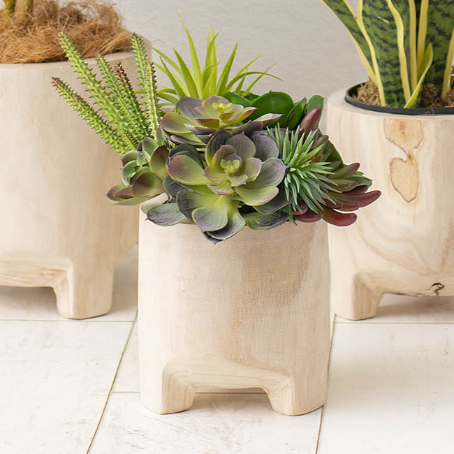 Succulents In Wooden Pot
