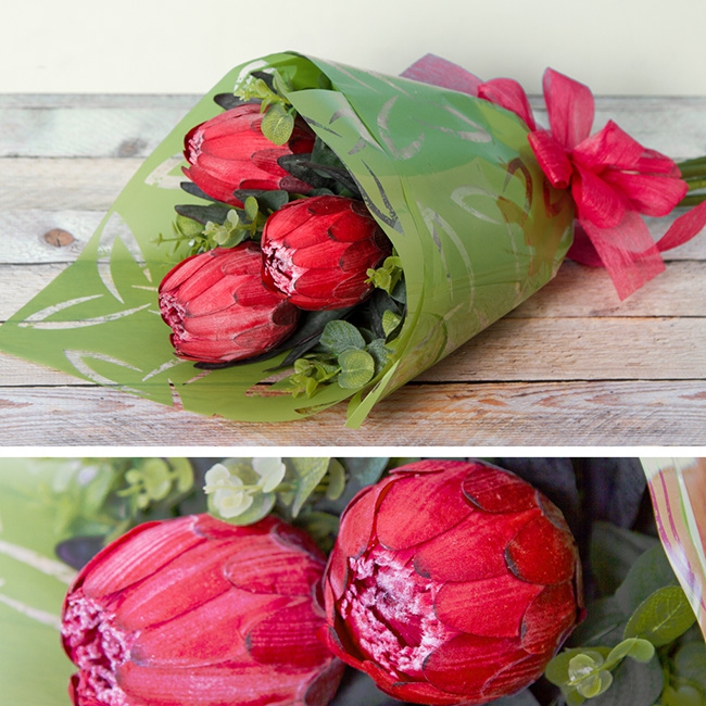 Wrapped Protea