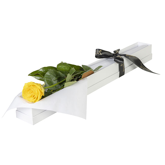 Interflora Single Yellow Rose in Presentation Box