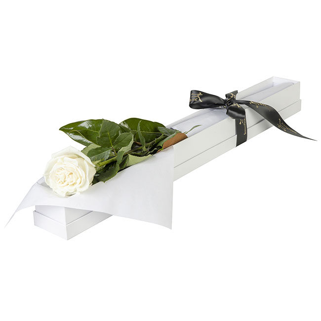 Interflora Single White Rose in Presentation Box