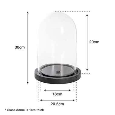 Glass Cloche Dome Terrarium Black MDF Base (23.5Dx32.5cmH)