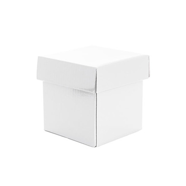 Patisserie & Cake Boxes - Cupcake Box with Lid and Insert White (10x10x10cmH)
