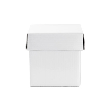 Cupcake Box with Lid and Insert White (10x10x10cmH)