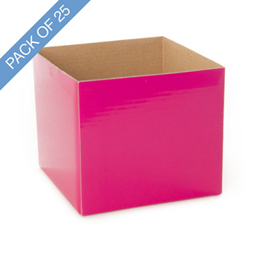 Posy Boxes - Mini Posy Box Pack 25 Hot Pink (13x12cmH)
