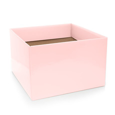 Posy Boxes - Posy Box Large with Flap Baby Pink (22x14cmH)