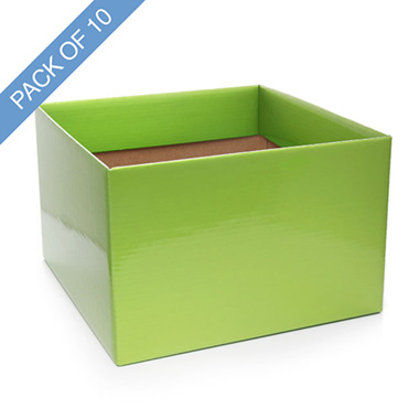Posy Boxes - Large Posy Box with Flap Pack 10 Lime Green (22x14cmH)