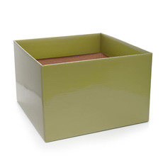 Posy Boxes - Posy Box Large with Flap Moss (22x14cmH)