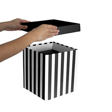 Gift Box with Lid Tall Stripes Black and White (22x22x25cmH)