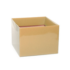 Posy Boxes - Posy Box Medium No.6 with Flap Gold (16x16x12cmH)