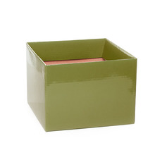 Posy Boxes - Posy Box Medium No.6 with Flap Moss (16x16x12cmH)