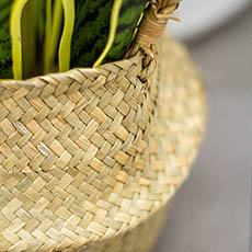 Tonga Seagrass Planter Basket Natural  (23Dx20cmH)